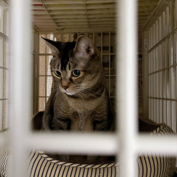 02ee9665 497f 4576 b4e9 cc4c1579ac9b 1765509487015