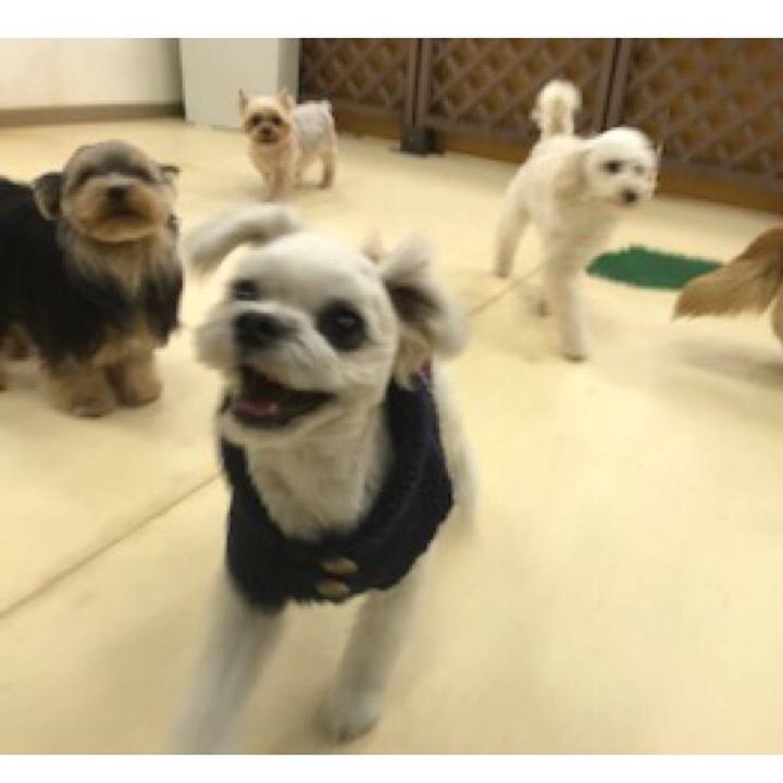 02eea222 75c0 4e5b bd6e bd1e3f3238e7 1517394946432