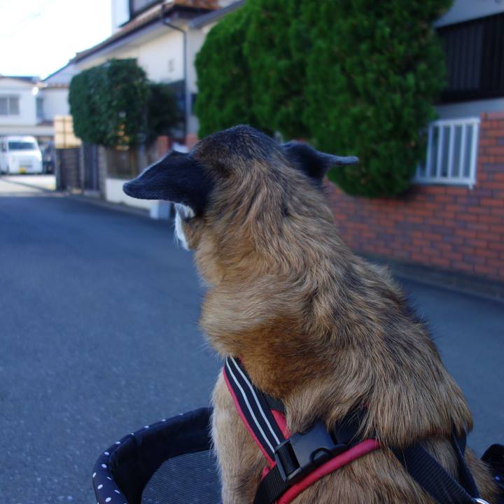 02eea26c b7de 4de7 b4f3 0dffded59862 1573171709244