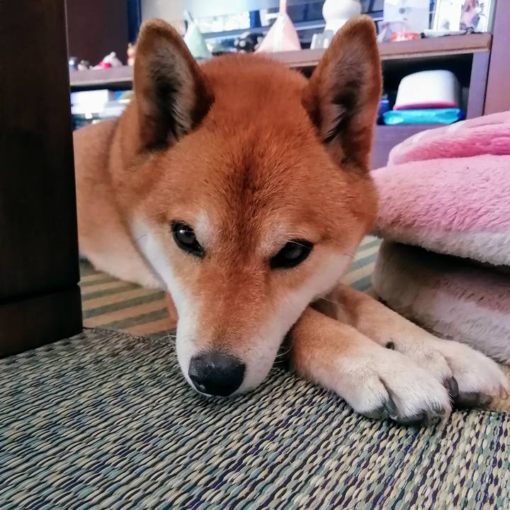 02eef46e f78d 4708 bd6c 6e92919de5dd 1588911508132