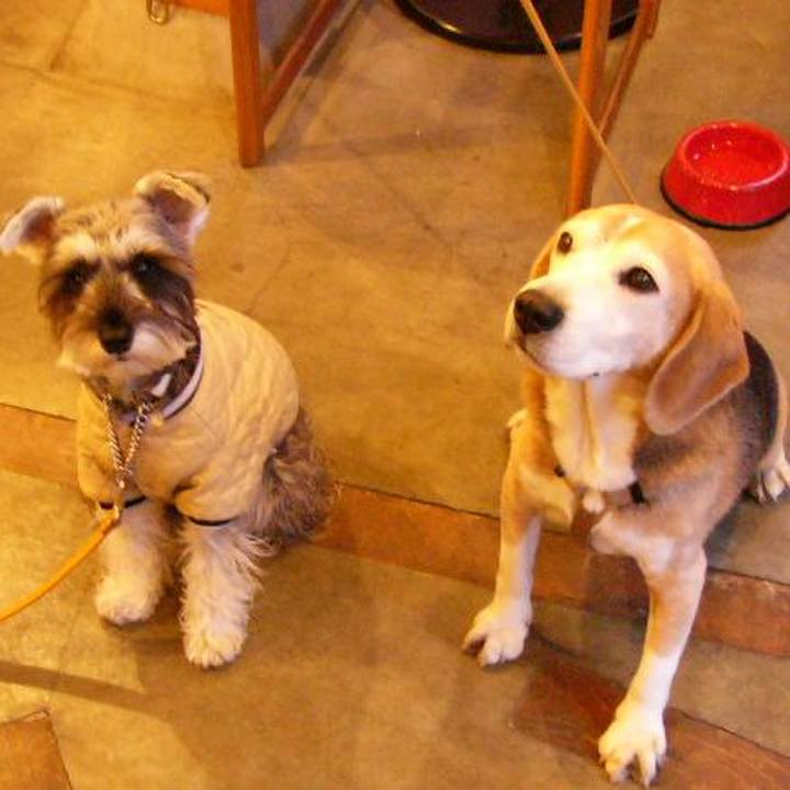 02ef19c7 4b6c 4bae a9a6 aa56e416c14c 1644972944107