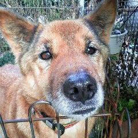 02ef5d3f 27a5 4140 843a 82bbfb998e70 1608255161561