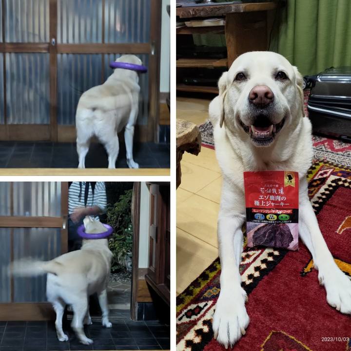 02ef687e 7fa8 4b8a b2b0 00dc9b2b01ec 1696343048403