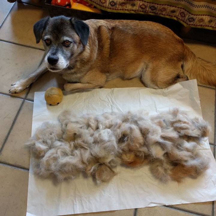 02ef7545 cbcc 47d7 b692 1520f157aeca 1736554401640