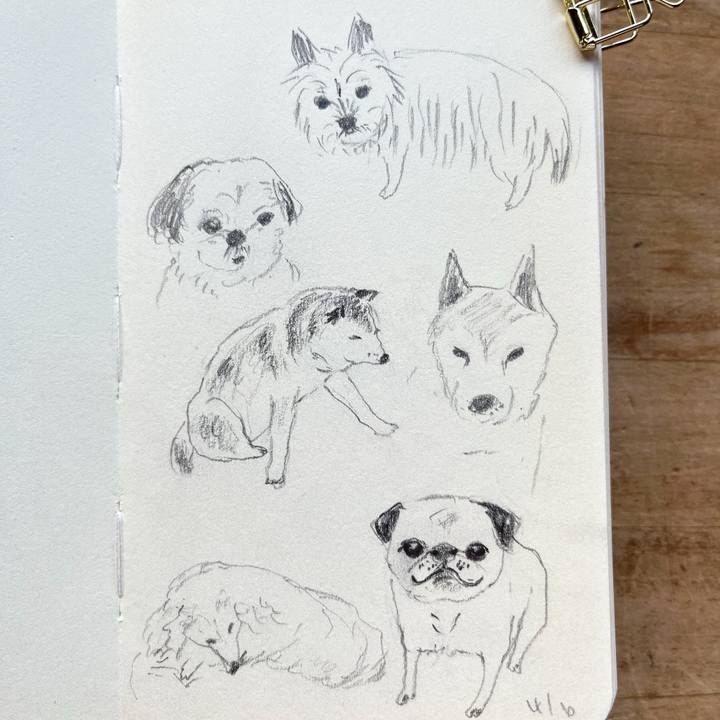 02ef7669 2b38 41cf 840f a47a5541e3d0 1749245899052