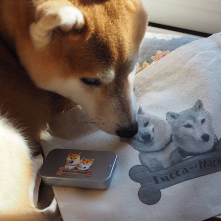 02efa632 8c09 412c 9b20 e3a5d5c2a1cc 1544670349412