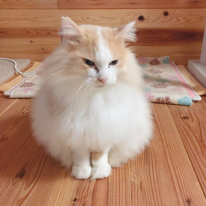 02efb1c4 30b3 4584 a56f 81b4ae9c5cc4 1576360243892