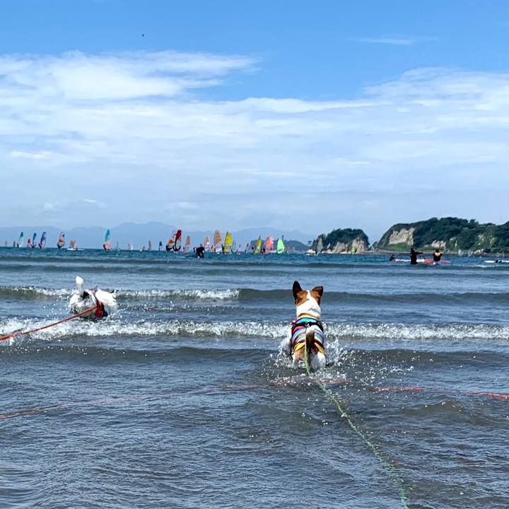 02efd13d aad9 4285 8dbc 8863a71c666f 1685525589598