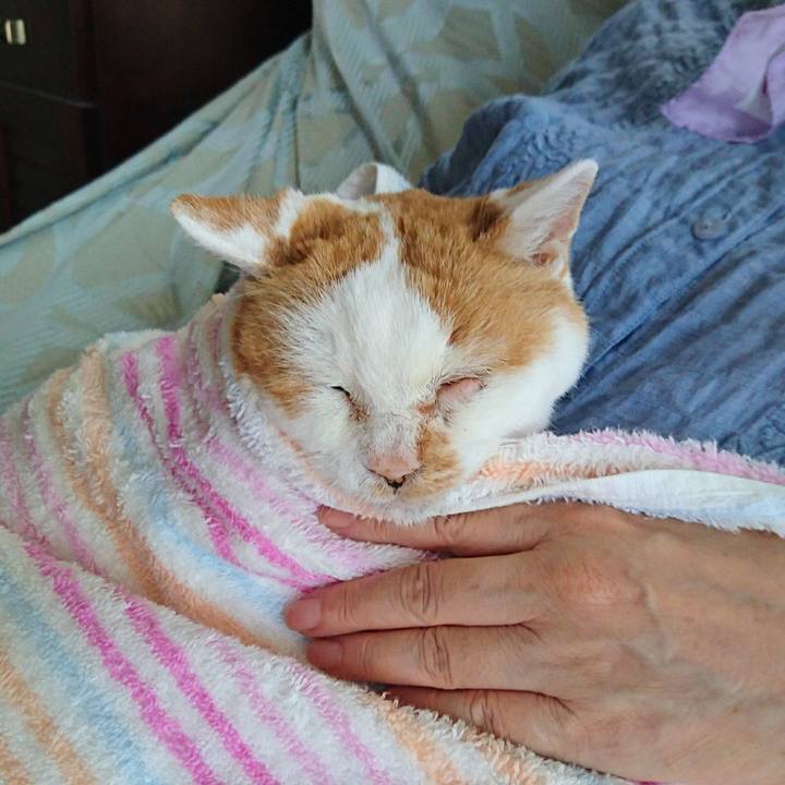 02eff17c ebcc 4f2c b535 f0bab61b896d 1600473793481