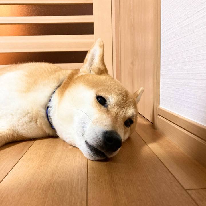 02f00989 d0b9 49b0 92cd 5e0db59d18e2 1678443389657