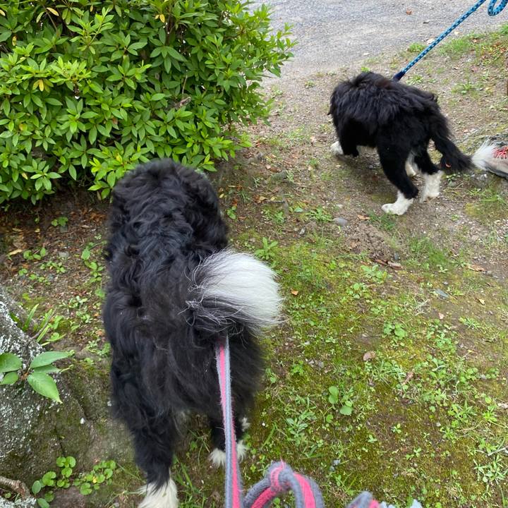 02f04082 41f3 4dfd b7ea e5b355eaf671 1684731571510