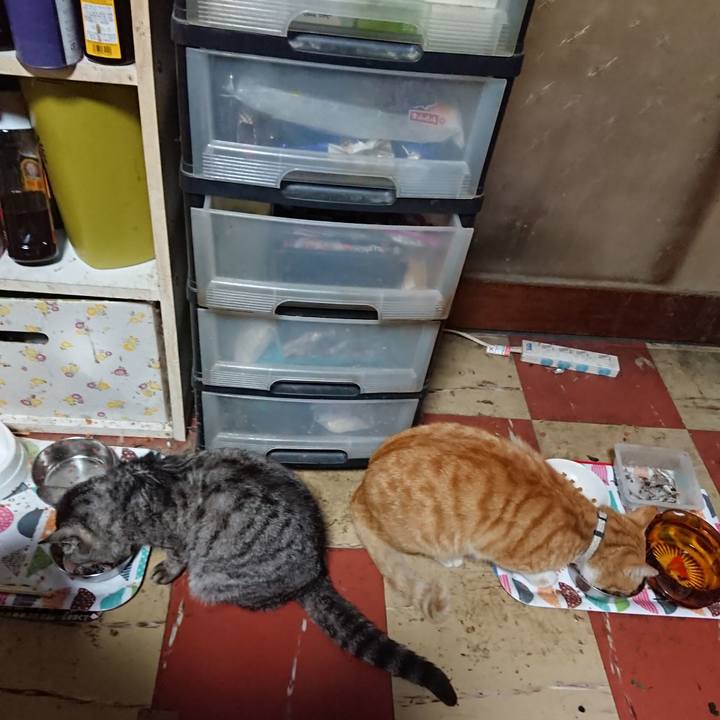 02f05393 1331 4281 9a7e e1dd9526377a 1589610351435