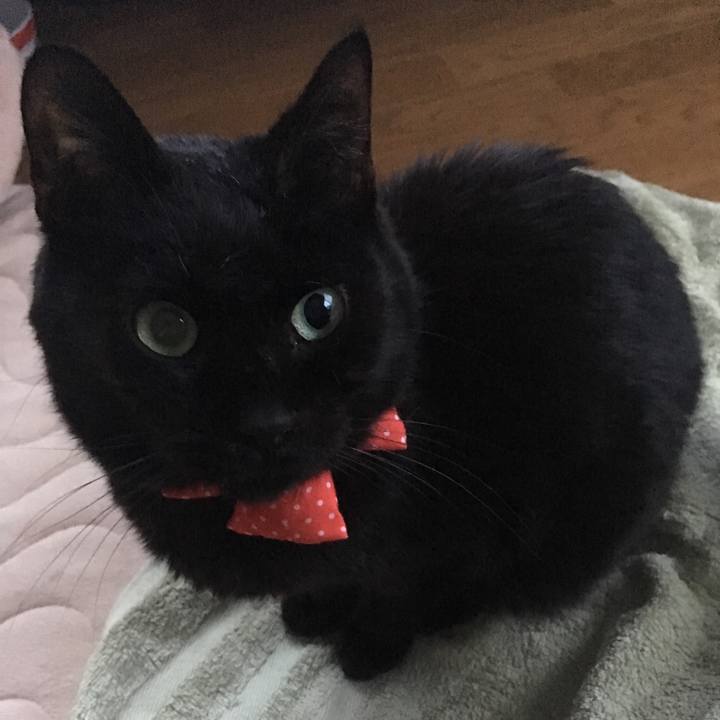 02f062fd a168 4629 94b5 b7082dc9f5af 1550563682348