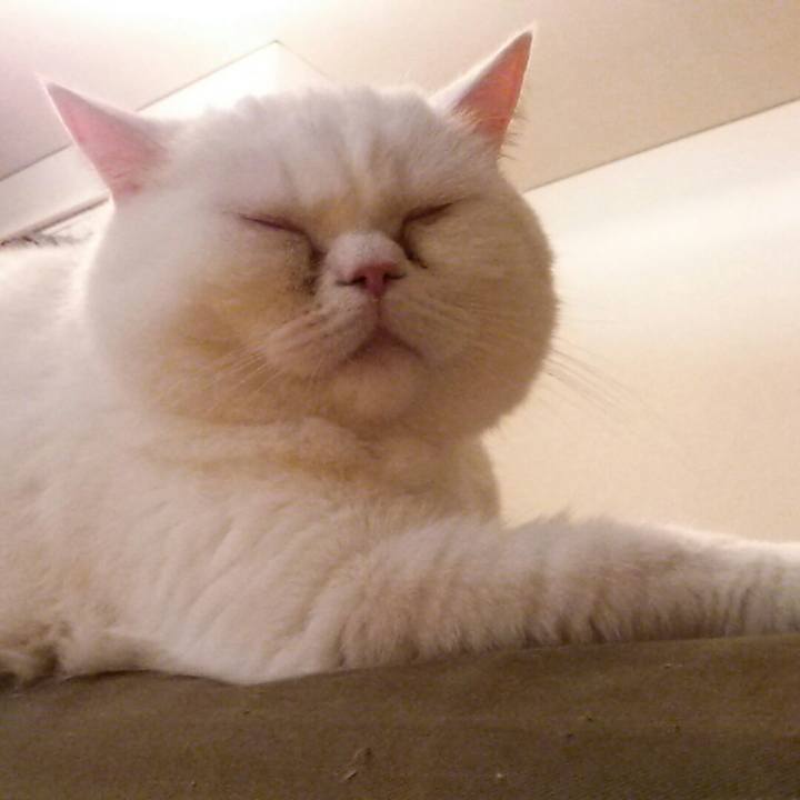 02f07057 aa85 433e afe2 39bdbdc124cf 1516754207441