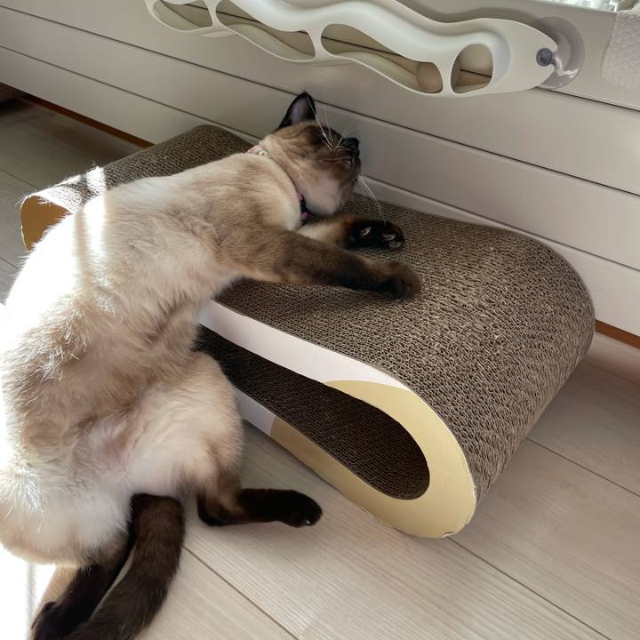 02f075c8 02bd 4ede aac7 70d57c89c515 1716670635840