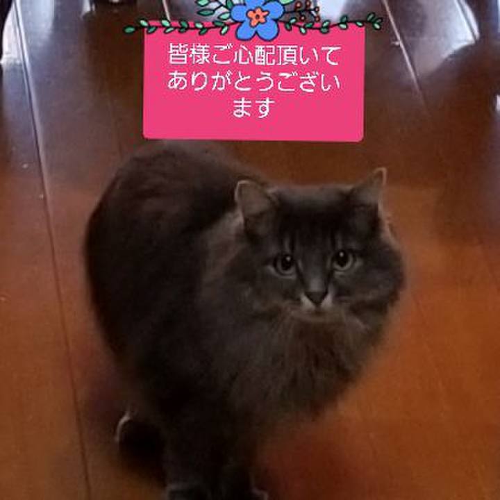 02f087ef 87f9 43d6 b184 9fefcb51d2bc 1545349978137