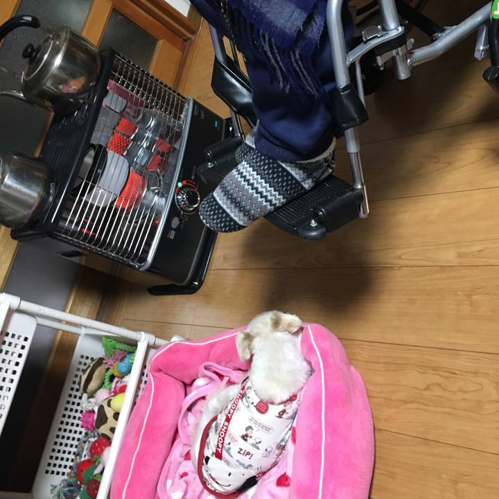 02f0af34 4234 4a3b b426 ea9ca5b6a923 1550545133446