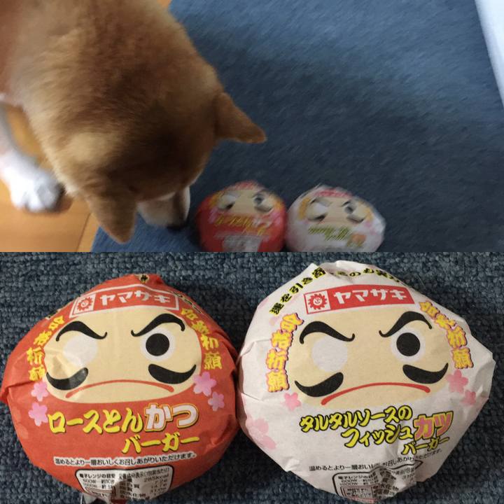 02f0b177 70c7 4acb bf41 cca94239ff4c 1641874894509