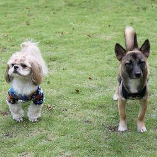 02f0b7eb 26ed 433c b442 81c2db23df62 1570369201013