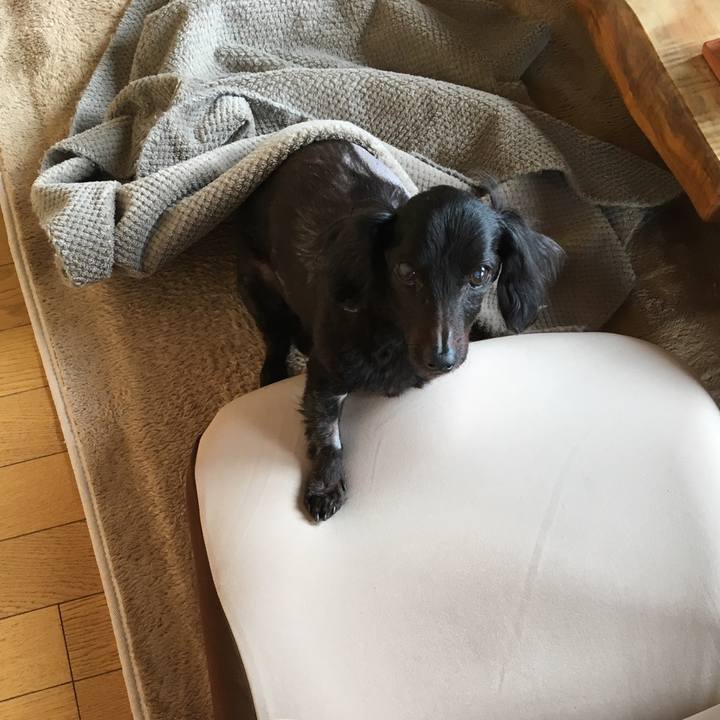 02f0d1ba 1883 4bdd b2b4 6d74858f3e3d 1555537709958