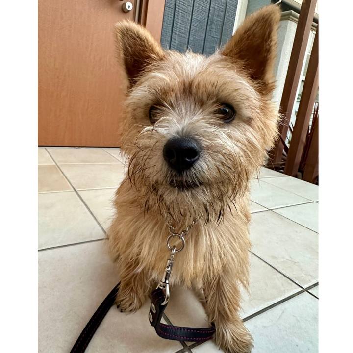 02f13042 75a8 4ee9 bc24 8882526dd687 1733304490200