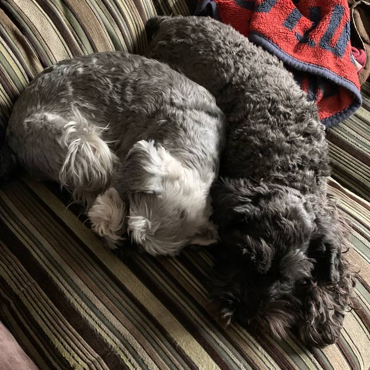 02f14ea5 4eeb 4625 9f99 4fa09b87e2fa 1642216995064