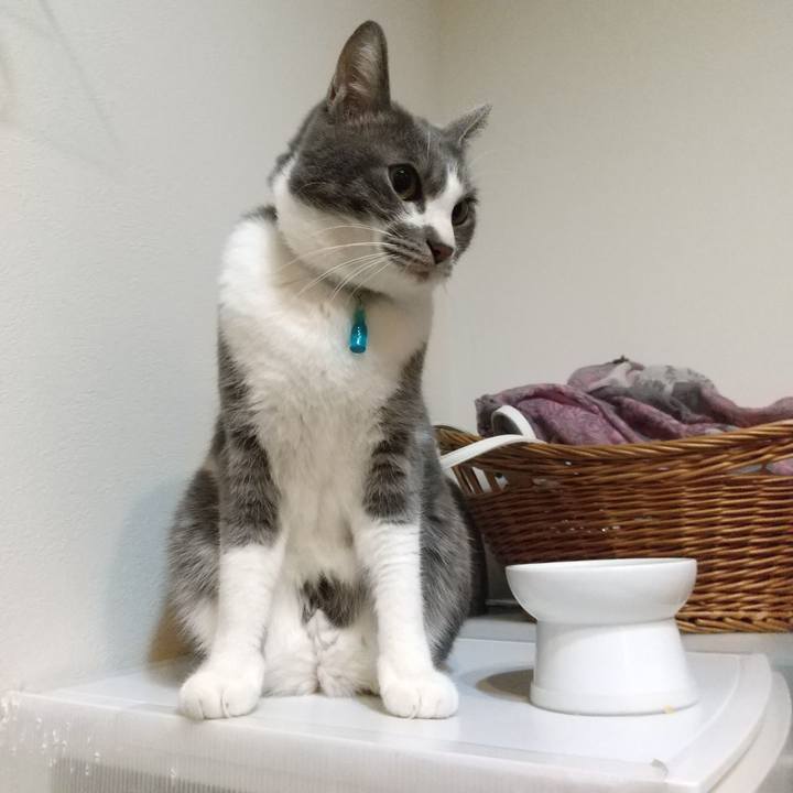 02f16822 93c4 429d aa29 17cca551f4da 1642633389706