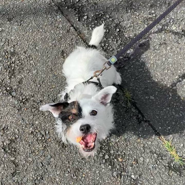 02f19560 96d3 4053 9281 57552787862d 1659831035045