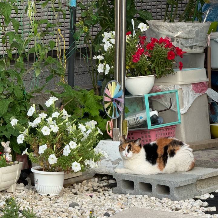 02f1b414 d7e8 4899 805a 7c18a23f94e4 1751253347642