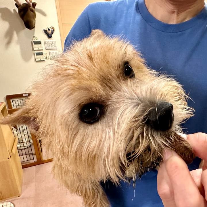 02f1cba8 1269 4f77 895d 9d694ff16188 1760710034944