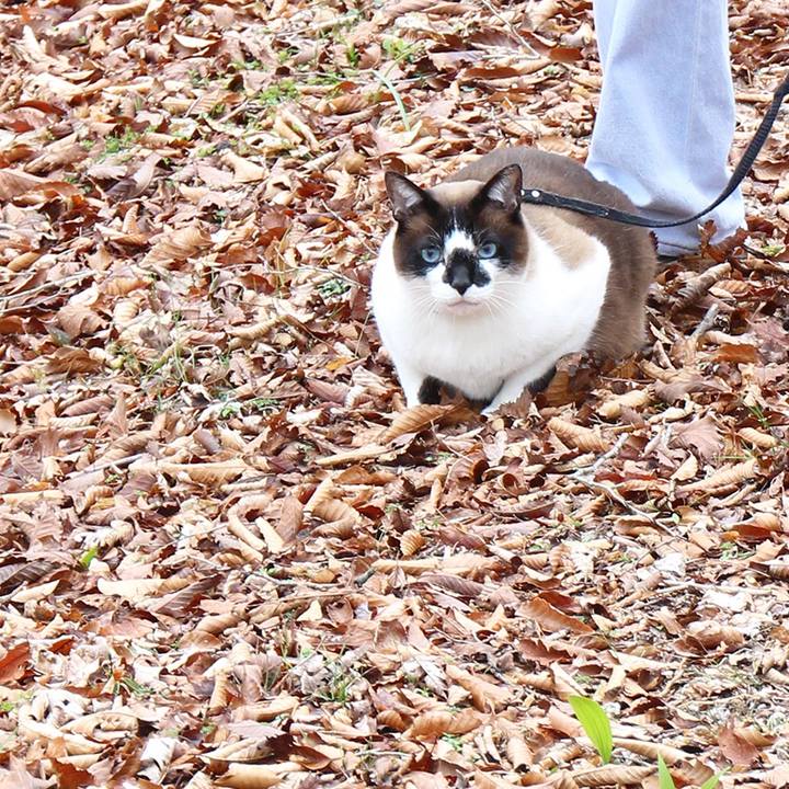 02f1e52f 02d4 48c1 9279 e807ac79d28c 1508835836831