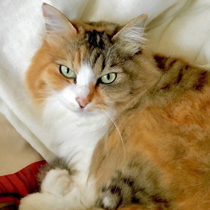 02f1f24d b495 4dc9 ade7 f403a44c1e21 1561867816170