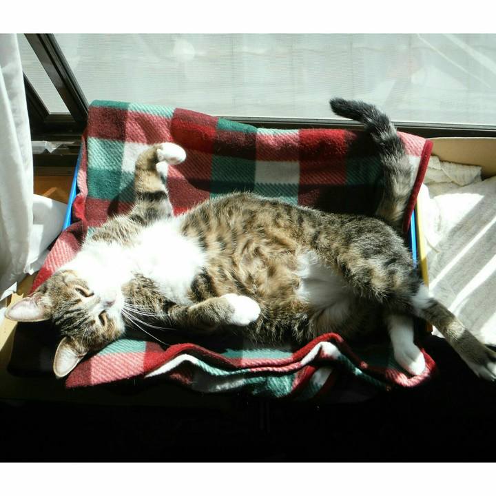 02f1fb50 92e1 4b9c a22c b001cda5f15d 1538122639177