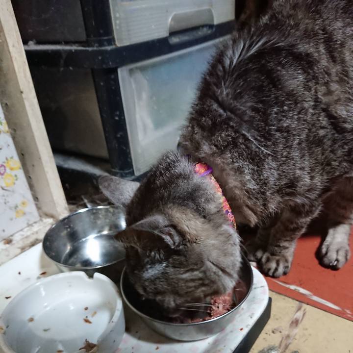 02f24c71 9f95 42a9 a5ee 8de5411b1d53 1595848571768