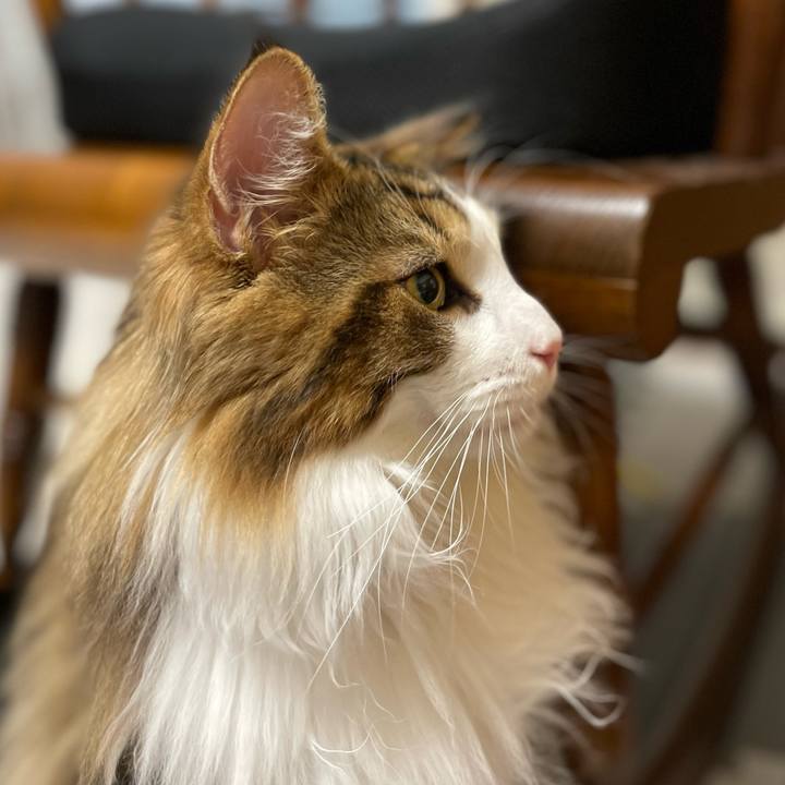 02f25661 7a9a 4552 950e 723111f81b23 1644269445089