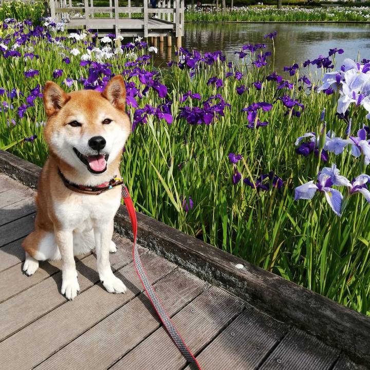 02f26b5e 80c8 4471 a3e8 1df0a5e1ce57 1655108894071