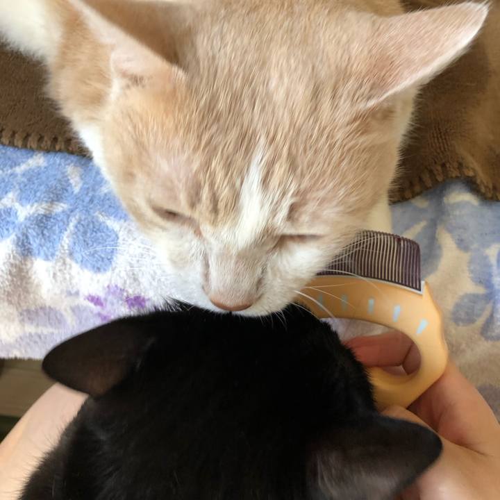 02f29146 ad02 480d 9f7b 767cf9f2751f 1570241299284