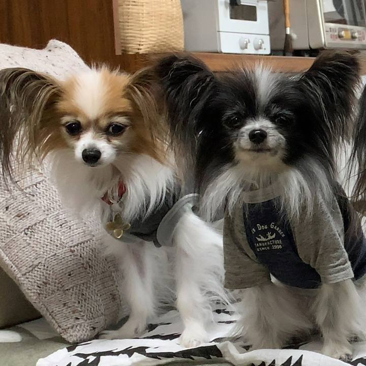 02f2988e 81b3 4dbb ad0c e3b9968af80b 1651299389575