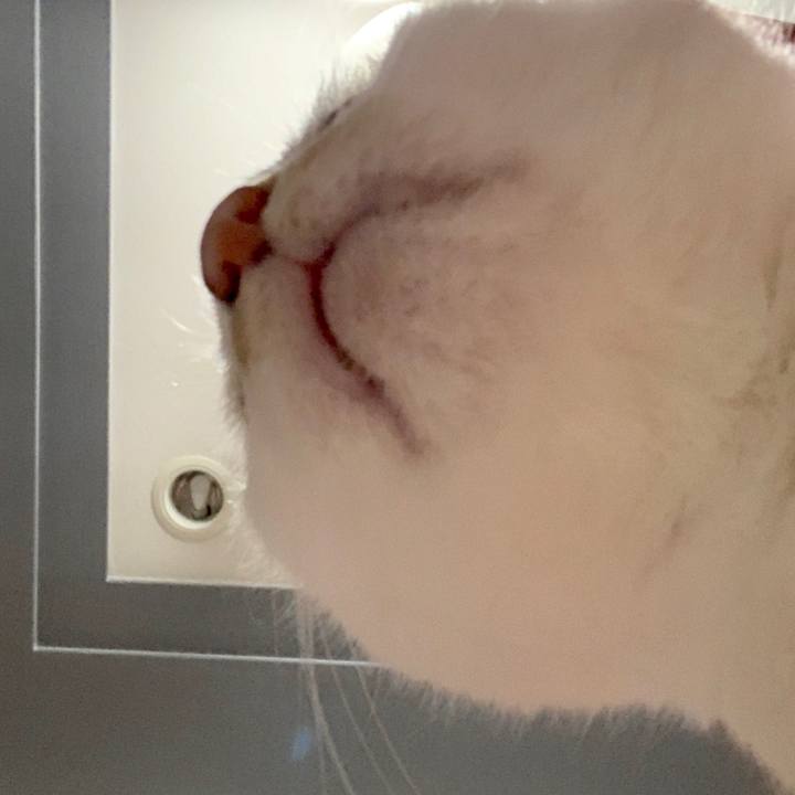 02f2ccd3 2253 4e6f 87f9 37e48975222b 1561809210494