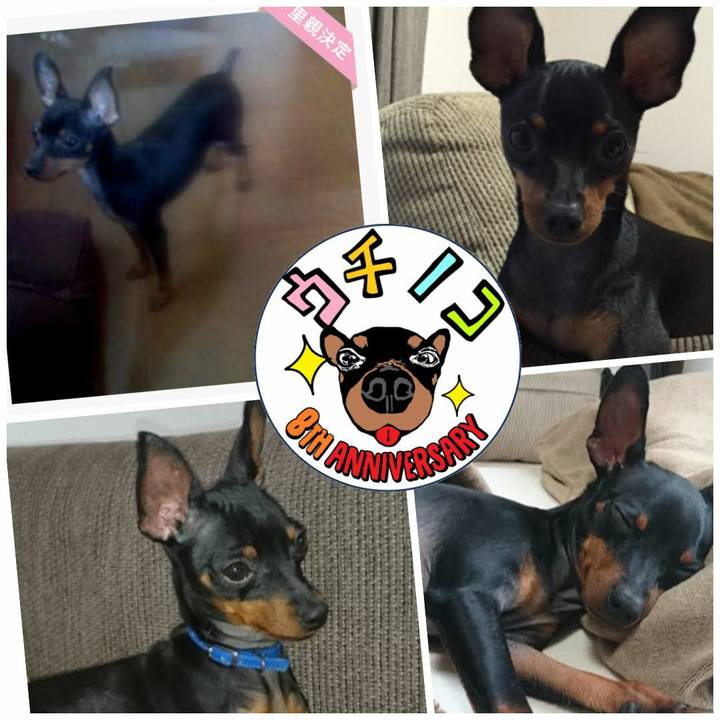 02f31719 4a55 431d 8372 7b3ab32b67ad 1715776464860