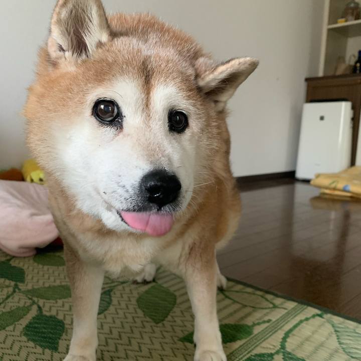 02f347e0 2057 4432 9558 9caaf06c8471 1624793130608