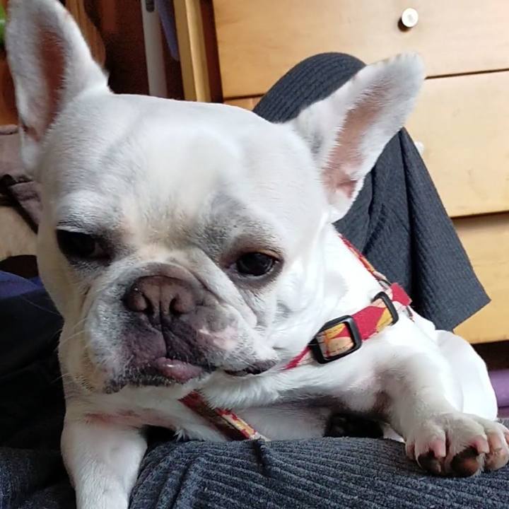 02f362d6 4746 4849 8065 d210b50ed93f 1653779792084