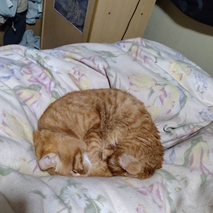 02f383bd 47b6 47d7 98ca 543c9849982c 1673009792972