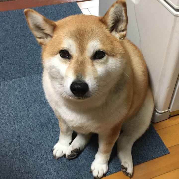 02f38589 3319 43b1 b7f3 f7bfae228c01 1593513922830