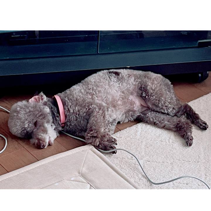 02f38eb6 ea06 4a5b 8acb c8476d665232 1721972155427