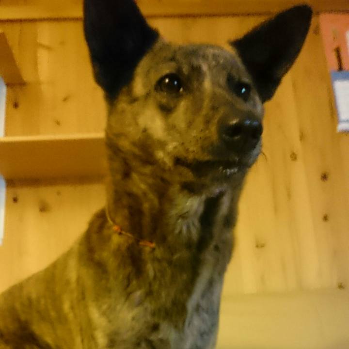 02f39bcd 29fa 42c8 bd06 2951d90f4f4c 1512648139484