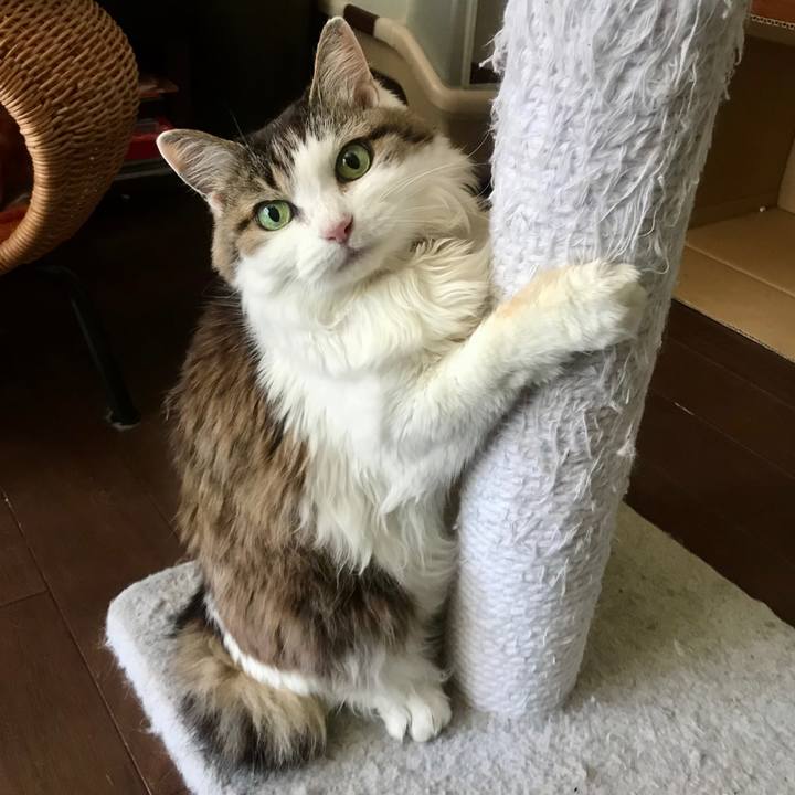 02f39ddf 855f 4115 964c aa8a327fbe6d 1620973102772