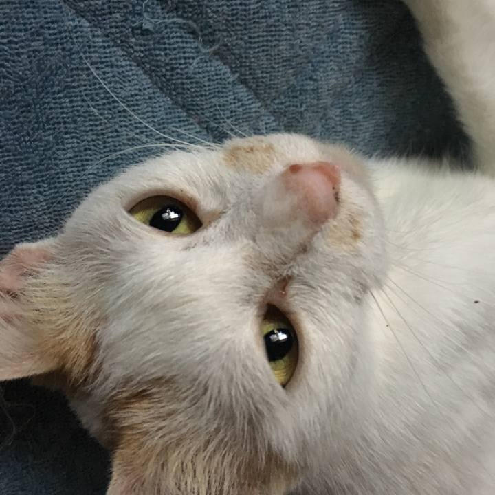 02f3c482 0015 4ee3 a0e3 53a6506af0e3 1535235325677