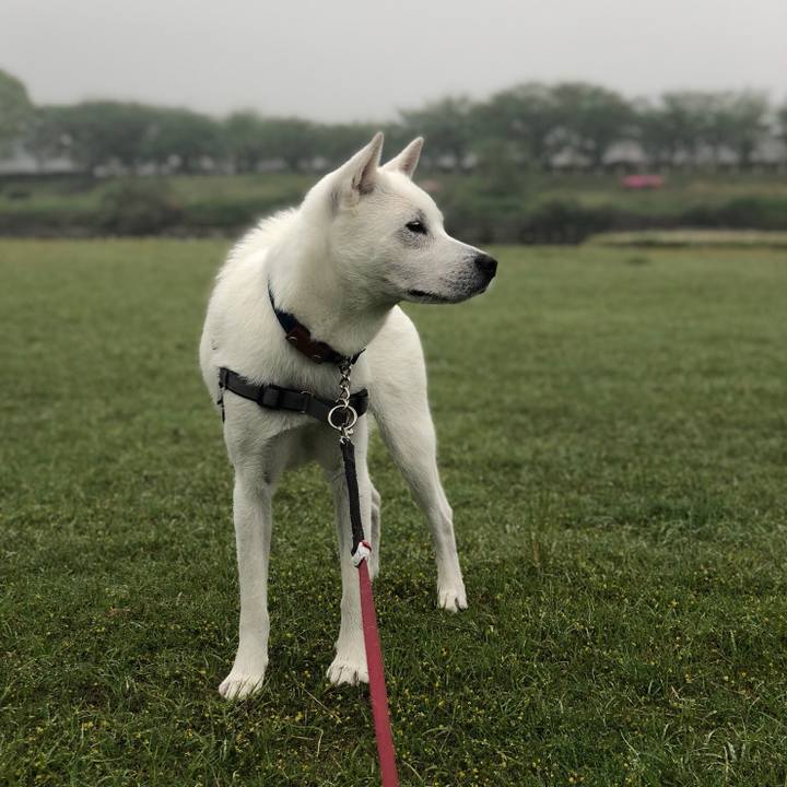 02f3c5a5 9929 486e 8837 a2c178a91ad6 1556148827602