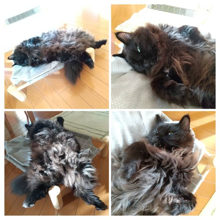 02f3d240 48c7 4794 8430 b221e1fda28f 1703202177438